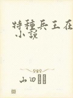特种兵王在山村 小说