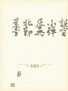 叶北辰小说最新章节无弹窗