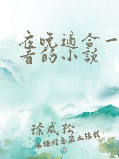 夜晚适合一个人看的小说 夜晚适合一个人看的小说