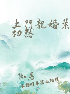 上门龙婚叶辰萧初然