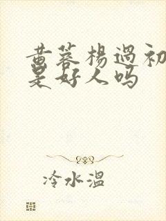 黄蓉杨过初云雨是好人吗