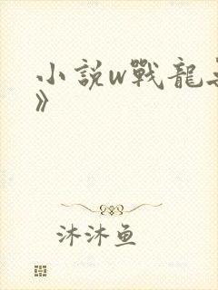 小说w战龙无双》