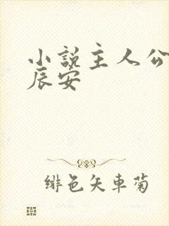 小说主人公叫李辰安