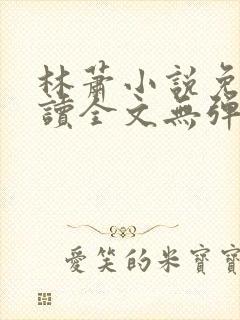 林萧小说免费阅读全文无弹窗