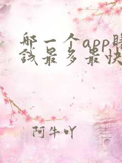 哪一个app赚钱最多最快