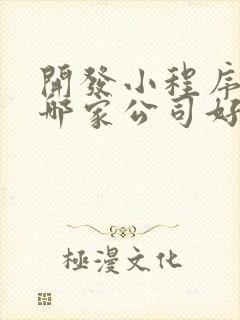 开发小程序定制哪家公司好