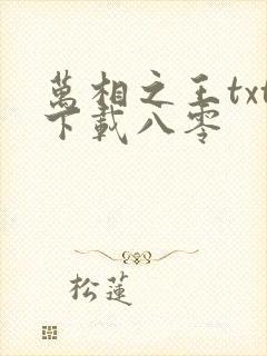 万相之王txt下载八零