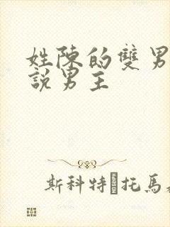 姓陈的双男主小说男主