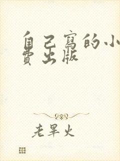 自己写的小说自费出版
