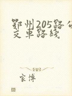 鄂州205路公交车路线