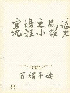 官场之风流人生沈淮小说免费阅读