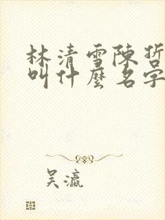林清雪陈哲小说叫什么名字