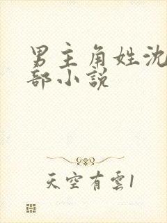 男主角姓沈的全部小说