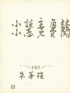 小说主角林姨,小志免费阅读