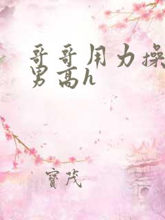 哥哥用力操我双男高h