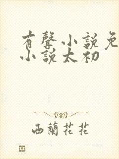 有声小说免费听小说太初