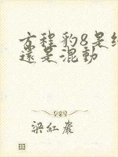 方程豹8是纯电还是混动
