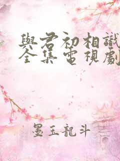 与君初相识免费全集电视剧