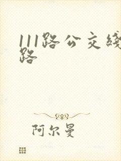 111路公交线路