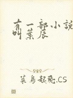 有一部小说主角叫叶辰