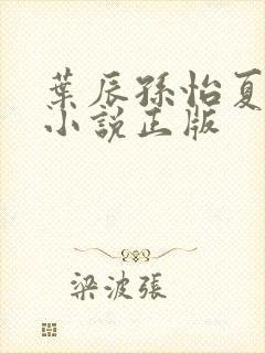叶辰孙怡夏若雪小说正版
