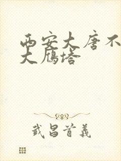 西安大唐不夜城大雁塔