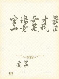 官场奇才最强靠山竟是我自己李霖叫什么名