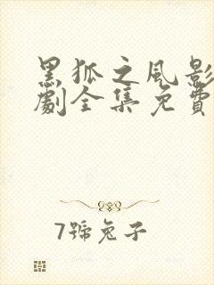 黑狐之风影电视剧全集免费播放