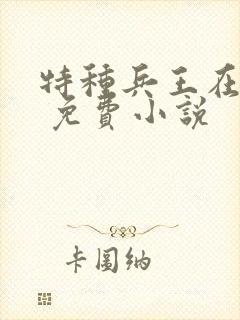 特种兵王在山村 免费小说
