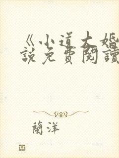 《小道大婚》小说免费阅读