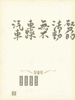 汽车无法启动刹车踩不动的故障原因