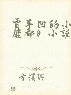 贾平凹的小说《废都》小说免费阅读