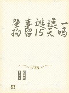 肇事逃逸一定要拘留15天吗