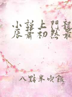 小说上门龙婿叶辰萧初然最新更新