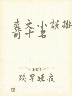爽文小说排行榜前十名
