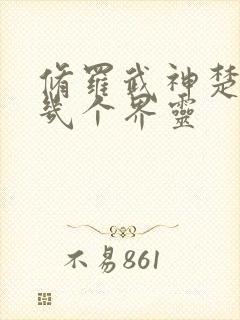 修罗武神楚枫有几个界灵