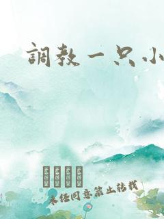 调教一只小母狗