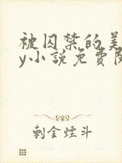 被囚禁的美人by小说免费阅读