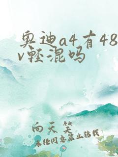 奥迪a4有48v轻混吗