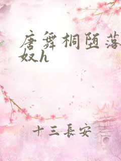 唐舞桐堕落成肉奴h