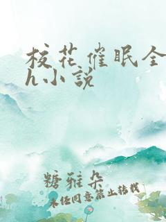校花催眠全世界h小说