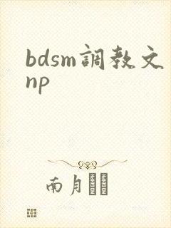 bdsm调教文np