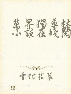 万界独尊林枫林小说在线阅读
