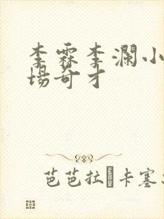 李霖李澜小说官场奇才