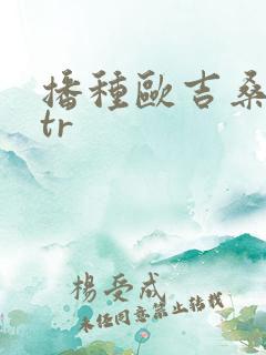 播种欧吉桑与ntr