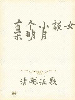 有个小说女主叫宋明月