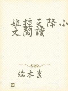姐控天降小说全文阅读