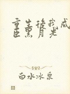 重生后我成了奸臣黑月光
