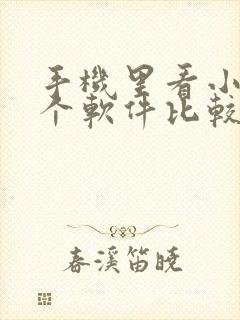 手机里看小说哪个软件比较好