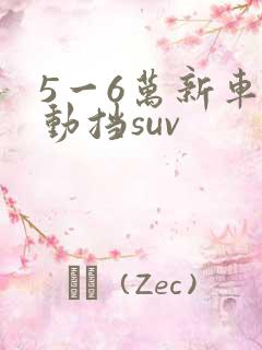5一6万新车自动挡suv